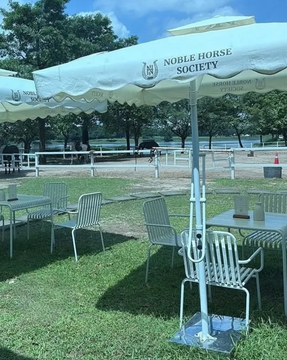 Khu ô dù Noble Horse Society trên sân cỏ, sân tập ngựa hàng rào trắng phía sau